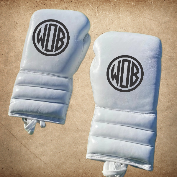 WHITE BOXING GLOVES PRO ELITE GLOVES 100% GENUINE COWHIDE LEATHER