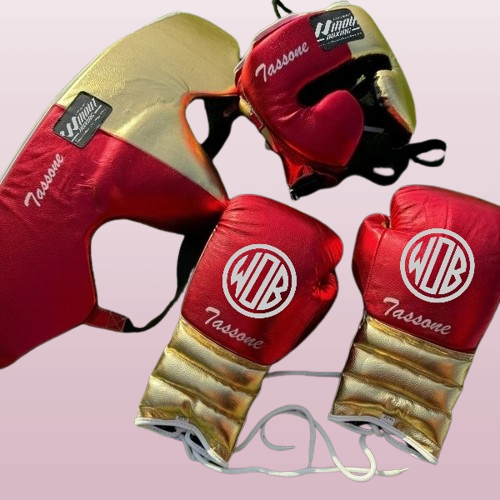 METALLIC RED & GOLD | SPARRING SET | 100% LEATHER