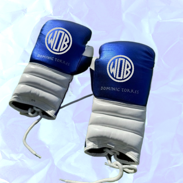 BLUE & WHITE | PRO ELITE | PRO ELITE GLOVES 100% LEATHER